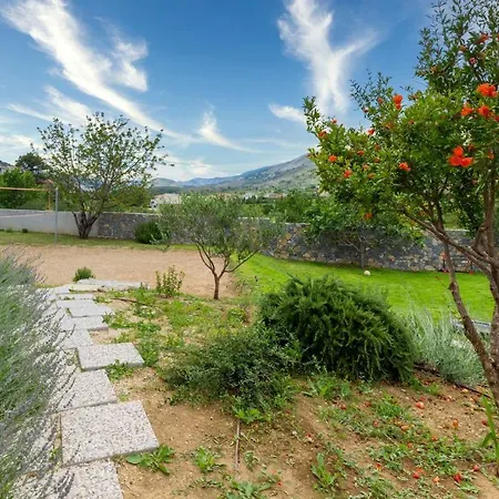 Villa Ume *